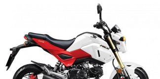 Honda MSX 125 sở hữu thiết kế đầy ấn tượng