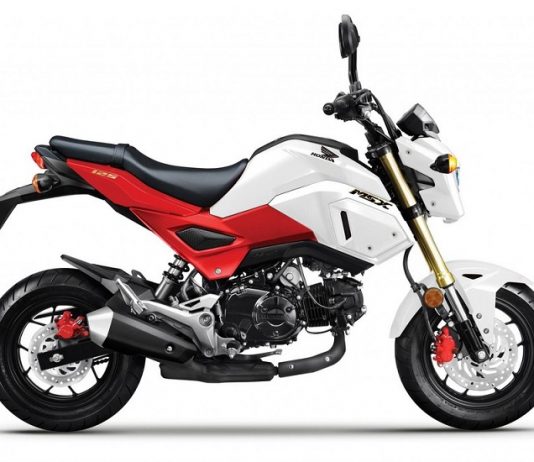 Honda MSX 125 sở hữu thiết kế đầy ấn tượng