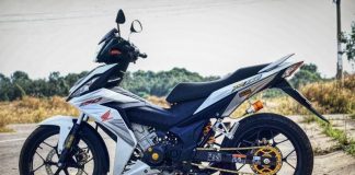 Winner V1 kiểng - Phiên bản cực chất 